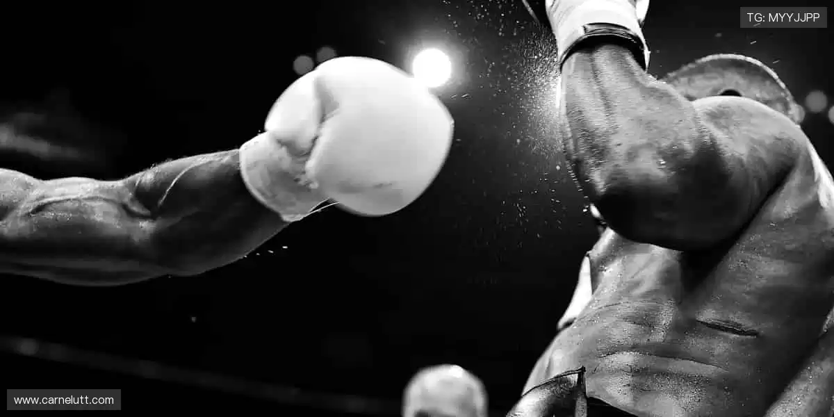 周边好物，粉丝专属！👕🎁 从球衣到纪念章，把热爱穿在身上！